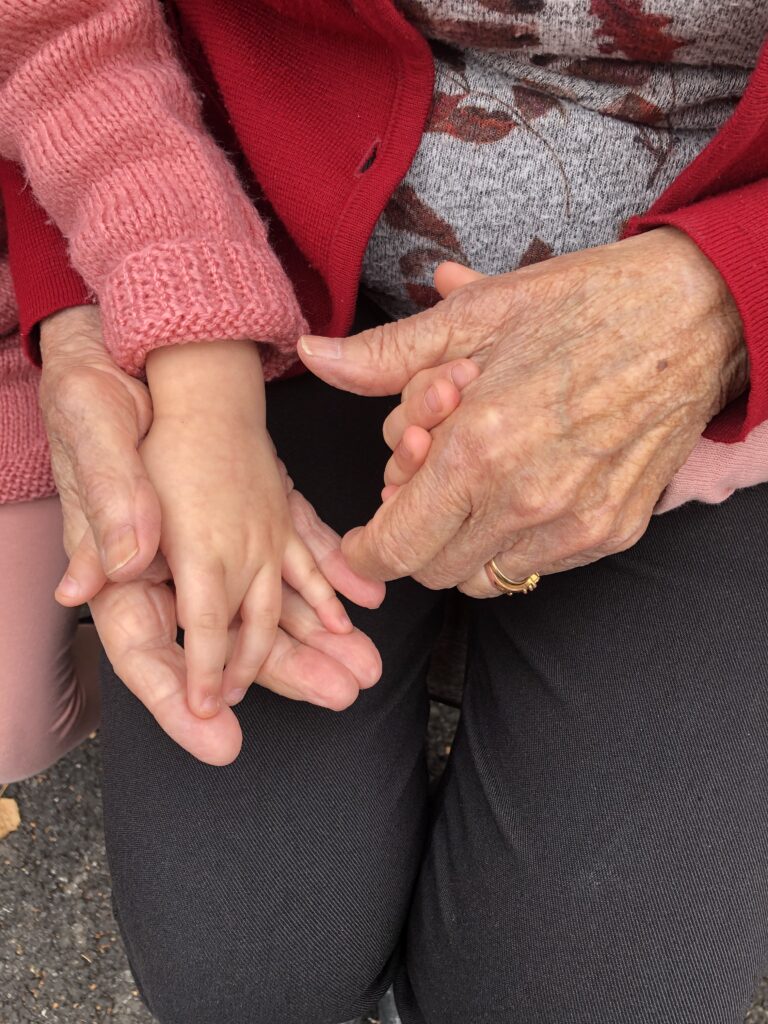 In Petto / l'installation